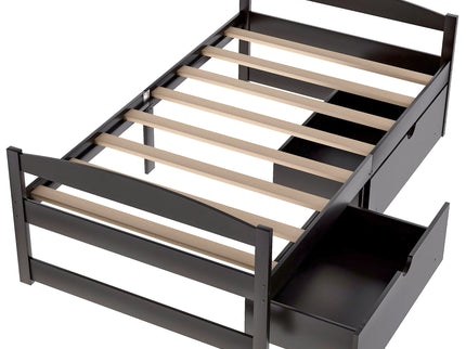 Platform Bed With 2 Drawers
