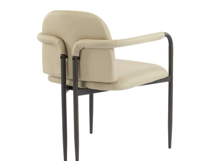 Modern Dining Chair (Set of 2) With Iron Frame - Espresso / Khaki
