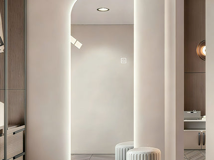 Irregular Shape LED Full Length Wall Mirror With 3 Color Dimmable Lighting - Silver