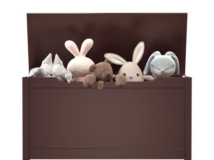 Toy Box Storage With Safety Hinged Lid