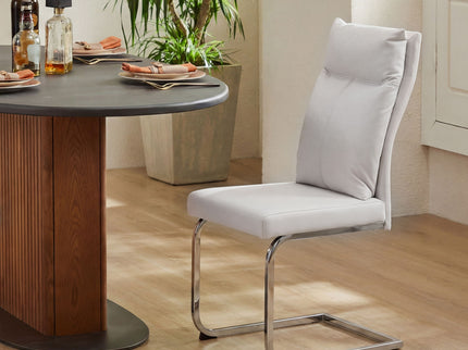 Modern Dining Chair SetWith Soft Cushion Backrest (2 Pieces)