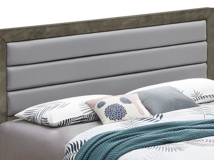 Transitional Modern Design Bed