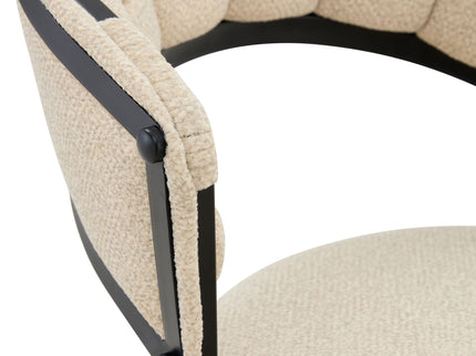 Dining Chairs For Dining Room & Kitchen (Set of 2)