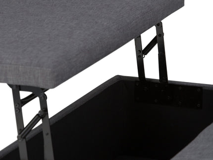 Ellis - Coffee Table Storage Ottoman Contemporary Design