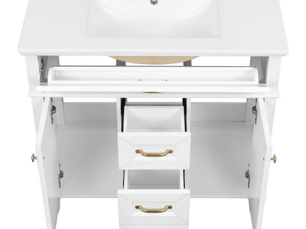 Bathroom Vanity With Sink, Flip-Out Top Drawer, Soft Close Doors, 2 Storage Drawers