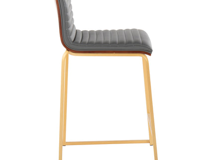 Mason Mara - Contemporary Design Fixed Height Counter Stool (Set of 2)