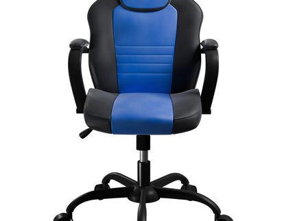 Gaming And Office Chair With Padded Arms, Adjustable Height