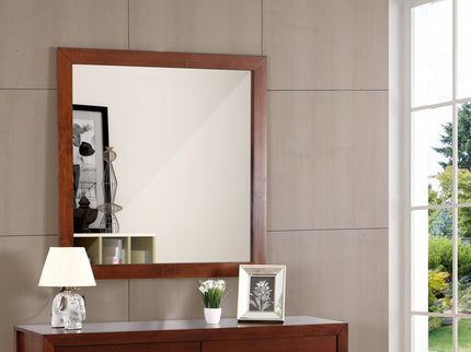 Burlington - Modern Design Transitional Wall Mirror