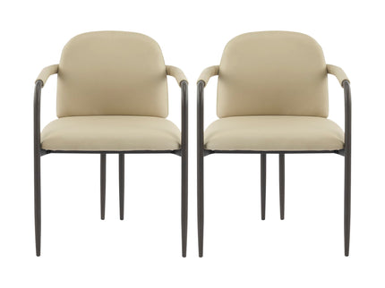 Modern Dining Chair (Set of 2) With Iron Frame - Espresso / Khaki