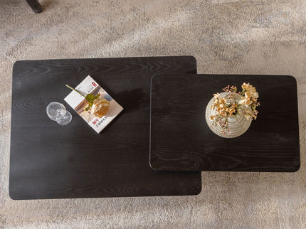 Square Coffee Table Set (Set of 2)