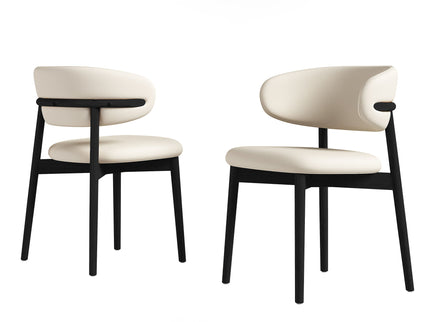 Mid-Century Modern Dining Chair (Set of 2)