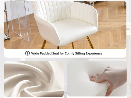 Modern Mid Back Dining Chairs