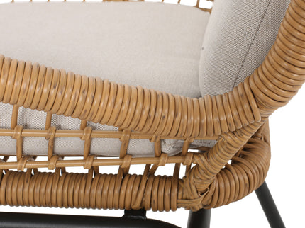 Outdoor Wicker Club Chair With Cushions (Set of 2)