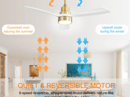 Indoor Ceiling Fan With Dimmable LED Light, 6 Speed Remote ControlLED DC Motor, Reversible Blades