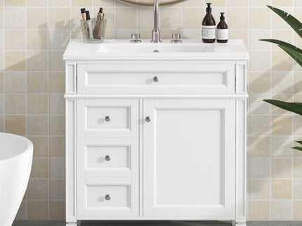 Bathroom Vanity With Top Sink, Modern Bathroom Storage Cabinet With 2 Drawers And A Tip-Out Drawer