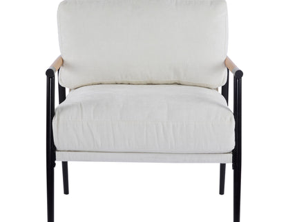 Modern Accent Chair With Cushions, Cozy Seating