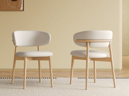 Mid-Century Modern Dining Chair (Set of 2)