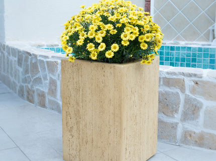 Modern Outdoor Planter