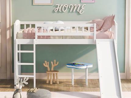 Loft Bed With Slide And Ladder