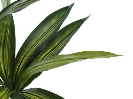 51" Tall, Artificial Plant, Dracaena Tree, Indoor, Faux, Fake, Floor, Greenery, Potted, Real Touch, Decorative - Green / Black