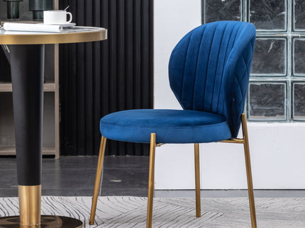 Amoa - Contemporary Velvet Upholstery Dining Chair - Blue