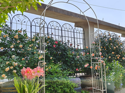 Metal Garden Arch Garden Arbor Trellis Climbing Plants Support Rose Arch Outdoor Arch