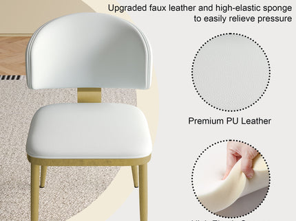 Modern Dining Chairs For Kitchen (Set of 2)