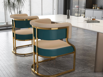 Dining Chairs Ergonomic Curved Backres (Set of 2) - Blue / Neutral