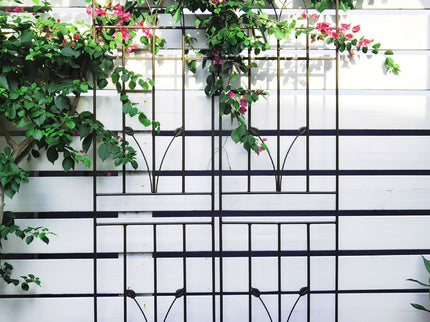 Metal Garden Trellis Rustproof For Climbing Plants Outdoor Flower Support