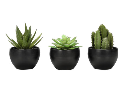 Artificial Succulent Plants (Set of 3)