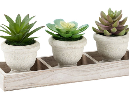 Artificial Succulent, Table Decor (Set of 3) - Green / Beige
