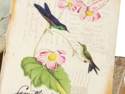 Book Boxes With Birds, Flowers, And Handwriting Design (Set of 4) - Multi