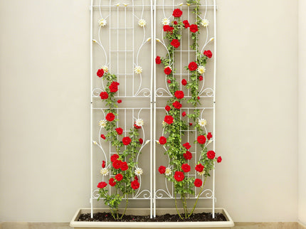 Metal Garden Trellis Rustproof Trellis For Climbing Plant Outdoor Flower Support