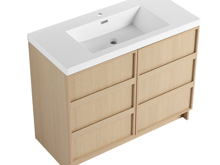 Freestanding Bathroom Vanity With Sink & 2 Soft Close Cabinet Doors