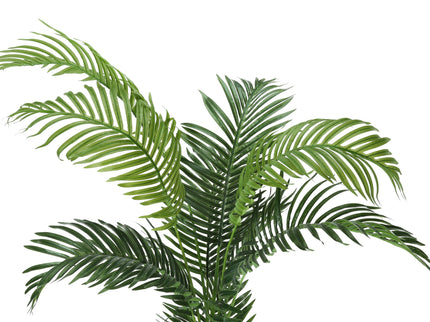 57" Tall, Artificial Plant, Palm Tree, Indoor, Faux, Fake, Floor, Greenery, Potted, Real Touch, Decorative - Green / Black