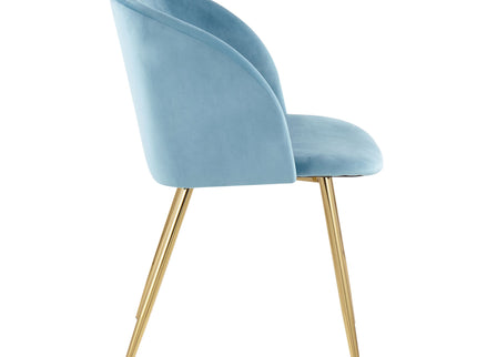 Fran - Contemporary Elegant Design Chair (Set of 2)