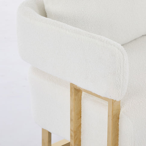 Decorative Side Chair For Living Room