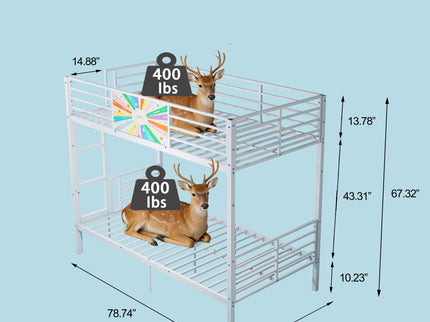 Bunk Bed, Convertible To 2 Separate Twin Size Beds & Full Length Guardrail & Ladder, No Box Spring Needed - White