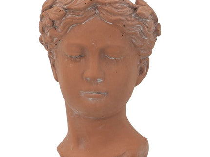 D6X9" Visage Head Bust Planter - Brown