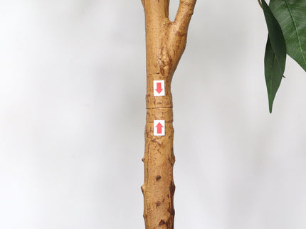 6Ft Artificial Ficus Tree With Natural Trunk In Pot For Indoor Home Office Decor - Green Leaves