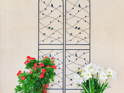 Garden Rustproof Trellis For Climbing Plants