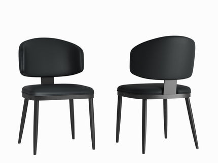 Modern Dining Chairs For Kitchen (Set of 2)