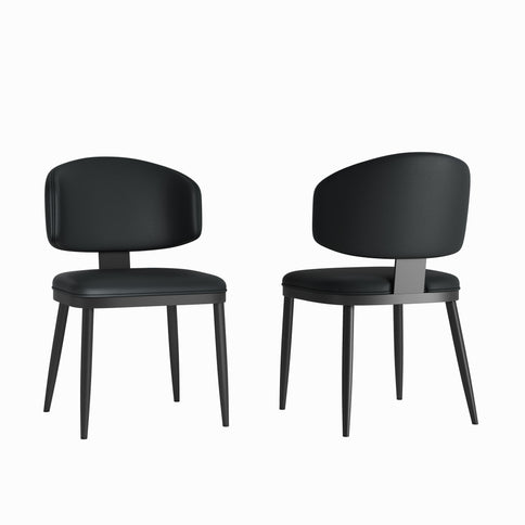 Modern Dining Chairs For Kitchen (Set of 2)