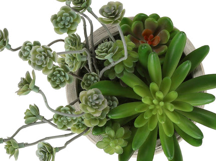 Artificial Succulent, Table Decor (Set of 2) - Green / Beige