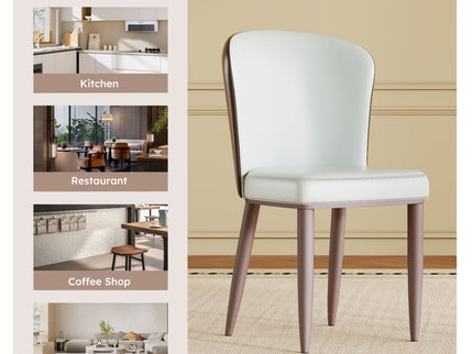 Dining Chair With Carbon Steel Legs, Comfortable Seating, (Set of 2) - White