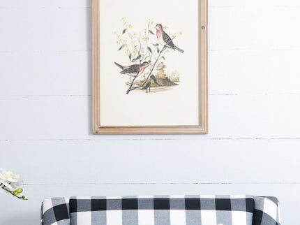 Bird Framed Print (Set of 4) - Multicolor