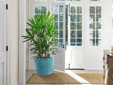 Versatile Flowerpot, Planter For Patio, Garden, Windowsill