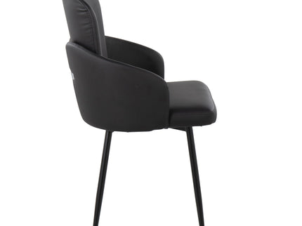 Dahlia - Contemporary Elegant Design Dining Chair (Set of 2)