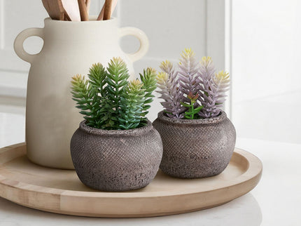 Artificial Succulent, Table Decor (Set of 2) - Green / Brown