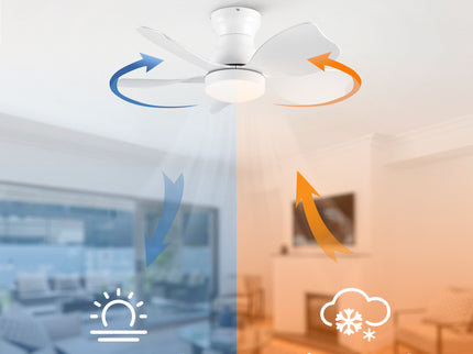 Low Profile Flush Mount Ceiling Fan With Light